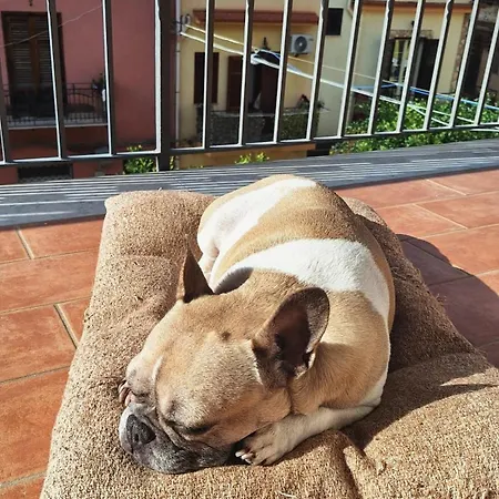 Casa Xxi Aprile *
